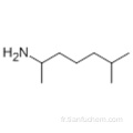 1,5-DIMÉTHYLHEXYLAMINE CAS 543-82-8